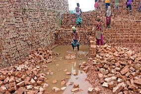 Around 400,000 Migrants Arrive Every Year To Work At Brickfields - Dhaka
