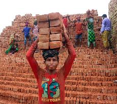Around 400,000 Migrants Arrive Every Year To Work At Brickfields - Dhaka