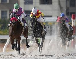 Horse racing: Miyashita Japan's first female jockey with 1,000 wins