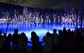 Blue Pond in Hokkaido