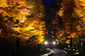 Train travels through maple trees in Kyoto