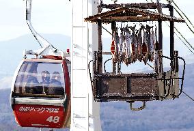 Making of dried salmon in Hokkaido