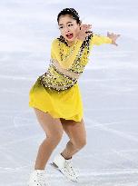 Figure skating: Internationaux de France