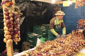 Onion Market in Bern