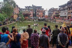 Naag Panchami festival or Snake worship festival being observed