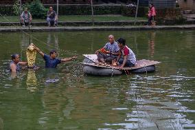 Naag Panchami festival or Snake worship festival being observed