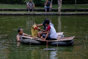 Naag Panchami festival or Snake worship festival being observed