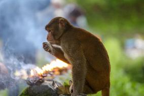 Nepalese observe Fathers Day