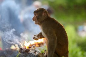 Nepalese observe Fathers Day