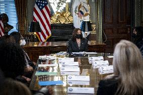 Vice President Kamala Harris Meeting on Reproductive Rights