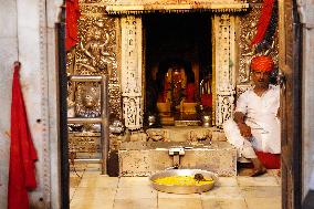 Rats At The Karni Mata Temple - India