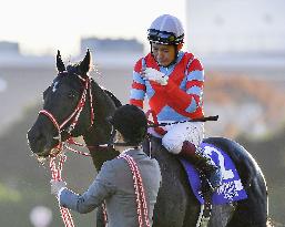 Horse racing: Contrail bows out after winning Japan Cup