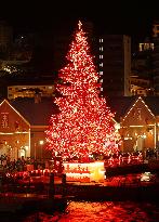 Christmas tree in Hakodate, Japan