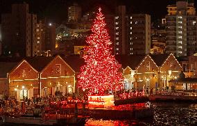 Christmas tree in Hakodate, Japan