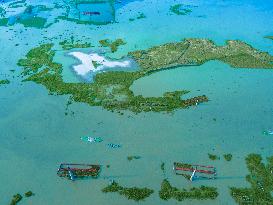 Brick Factories Flooded Due To Heavy Rains - Bangladesh