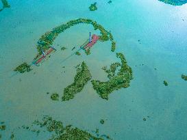 Brick Factories Flooded Due To Heavy Rains - Bangladesh