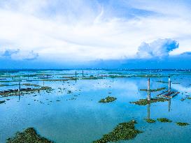 Brick Factories Flooded Due To Heavy Rains - Bangladesh