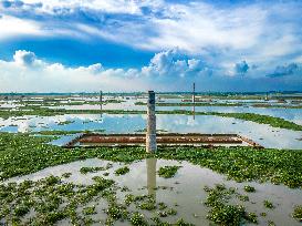 Brick Factories Flooded Due To Heavy Rains - Bangladesh