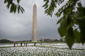 660,000 US Lives Lost To Covid-19 - Washington