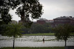 660,000 US Lives Lost To Covid-19 - Washington