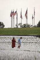 660,000 US Lives Lost To Covid-19 - Washington