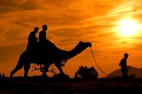 Tourist During Camel Safari in the Desert of Pushkar - India