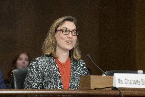 Senate Judiciary Subcommittee Hearing To Examine Big Data - DC