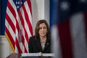 Vice President Kamala Harris Leads a Virtual COVID Summit