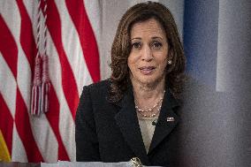 Vice President Kamala Harris Leads a Virtual COVID Summit