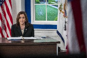 Vice President Kamala Harris Leads a Virtual COVID Summit