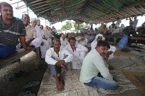 Protest Against The Farm Laws Asking For Right Compensation - India