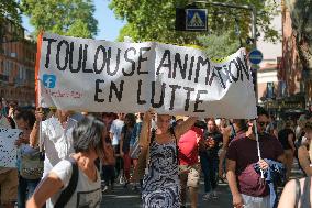 National teachers' Demonstration - Toulouse