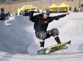 Skateboarding: Japanese national c'ships
