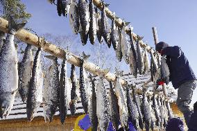 Ainu salmon preservation method put into practice