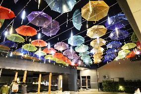 Umbrella-hanging event in Niigata