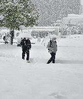 Freezing winter in Japan