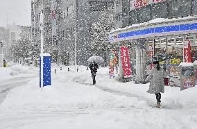 Freezing winter in Japan