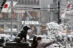 Snow in Tokyo