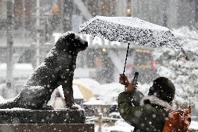 Snow in Tokyo