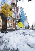 Day after snowfall in Tokyo