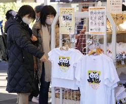 Twin giant pandas make public debut at Tokyo zoo