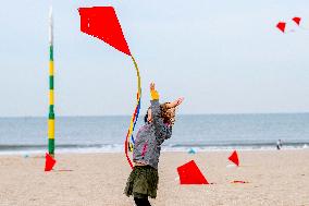 Kite Campaign For Solidarity With Afghan Children - Netherlands