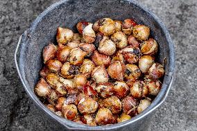 7 Million Flower Bulbs Planted In Keukenhof - Lisse