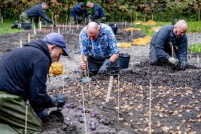 7 Million Flower Bulbs Planted In Keukenhof - Lisse