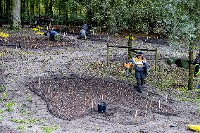 7 Million Flower Bulbs Planted In Keukenhof - Lisse