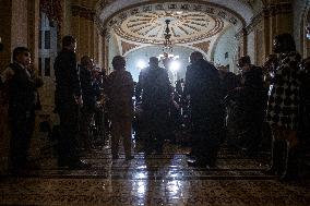 Senate Democrats Policy Luncheon - Washington