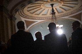 Senate Republicans Policy Luncheon - Washington