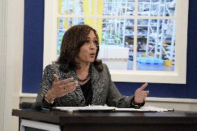 Kamala Harris virtually meets with workers - Washington