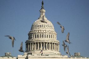 The US Capitol Building