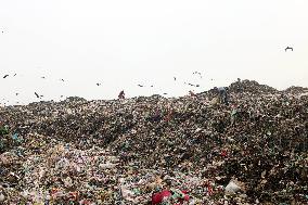 People Waste Pickers - Dhaka